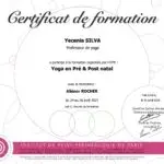 Diplôme de yoga pré et post natal